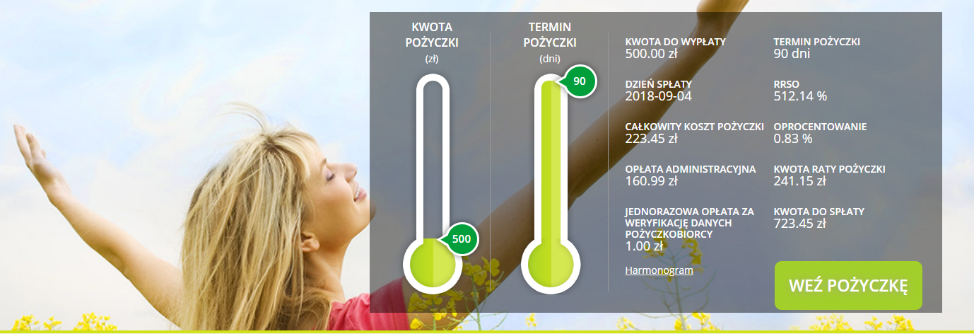 Kredyt1000.pl