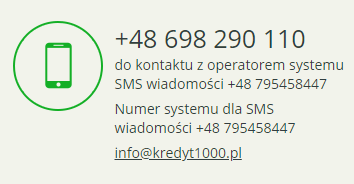 Kredyt1000.pl